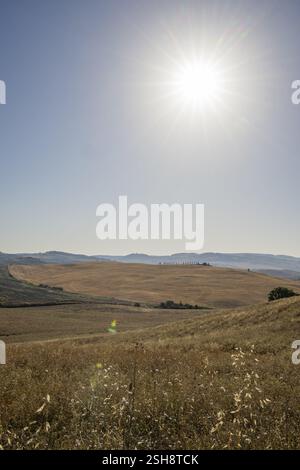 Typical Tuscan landscape in Val d'Orcia with hills, trees, fields, farmhouses and cypresses in summer, Tuscany, Italy, Europe Stock Photo