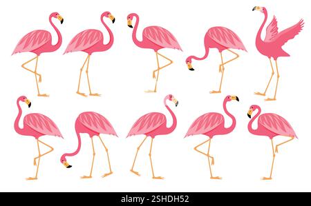 Flamingo pink drawing clipart set. Summer bird flamingo clip art ...