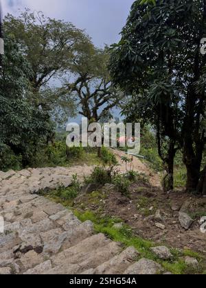Stone steps wide enough for hourses  make up most of the trail on the Mardi Himal Trekin the Annapurna Mountain Range  - Nepal Stock Photo