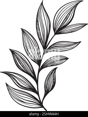 Sketch branch of leaf Hand drawn. Floral illustration. Line. minimalistic, luxurious. For invitations, weddding, cards, design Stock Vector
