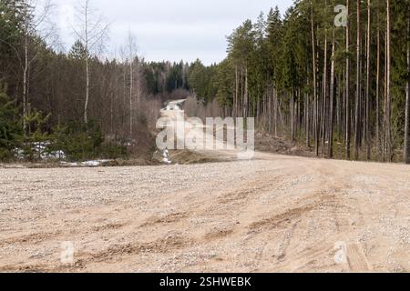 a long, straight road running through the forest, with trees on either side. Stock Photo