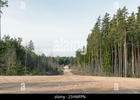 a long, straight road running through the forest, with trees on either side. Stock Photo