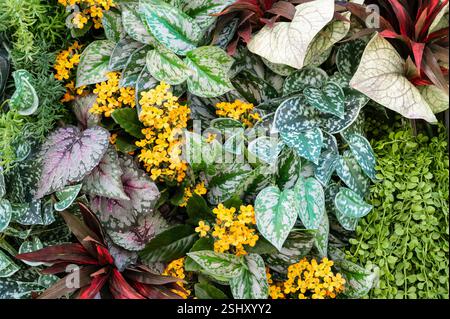 Artificial Flowers and Plants Background for Decoration. Stock Photo