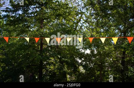 Colorful flags bunting in front of trees to celebrate an event Stock Photo