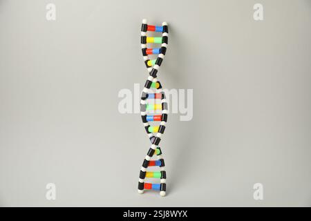 Structure of DNA on light grey background. Illustration Stock Photo - Alamy