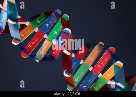 Structure of DNA on dark background. Illustration Stock Photo - Alamy