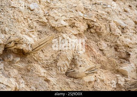 Masada Rampart The rampart built by the Romans on the western side of Metzada, Masada ...