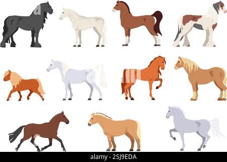 Cartoon horses. Different horse types, breeds and colors. Prancing pony, stallion run gallop and standing steed poses. Horse show isolated vector set Stock Vector