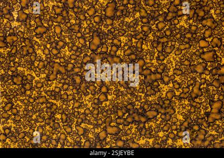 Old book binding with marbled decoration Stock Photo