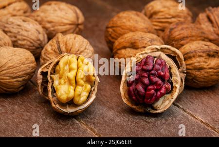 Red Danube and Juglans regia walnuts on wooden background, comparison concept. It originated from a cross between English and Persian walnut trees Stock Photo