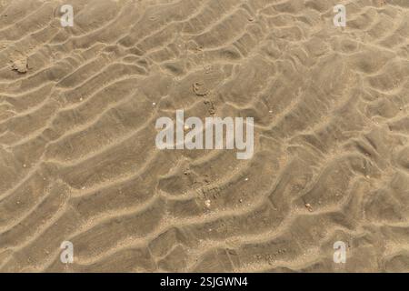 Structures and patterns in the sand at low tide on Lakolk beach, Rome Island, Denmark Stock Photo