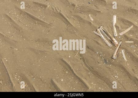 Structures and patterns in the sand at low tide on Lakolk beach, Rome Island, Denmark Stock Photo