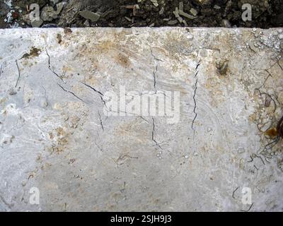 Close-up shot revealing the intricate details of a cracked, weathered concrete surface, showing signs of age and deterioration. Stock Photo