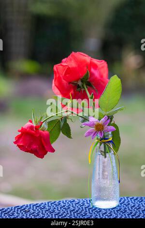Two roses in a simple glass vase, stone with red heart Stock Photo - Alamy