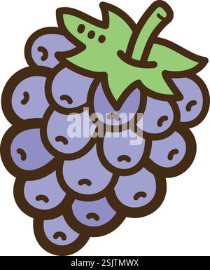 Blackberry vector doodle illustration and graphic. Part of fruits category. Stock Vector