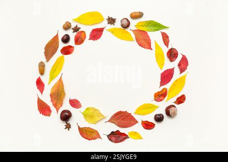 Frame made of autumn leaves with acorns, chestnuts and star anise on white background Stock Photo