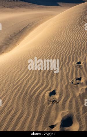 Golden Waves: The Majestic Beauty of Sand Dunes Stock Photo