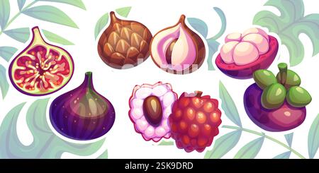 Tropical whole and cut fruit set with fresh mangosteen, purple fig, sweet lychee, ripe salak snake fruit on green plant leaves background. Cartoon vector bright exotic organic food illustration. Stock Vector