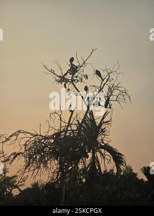 Random Sky Photography Stock Photo - Alamy