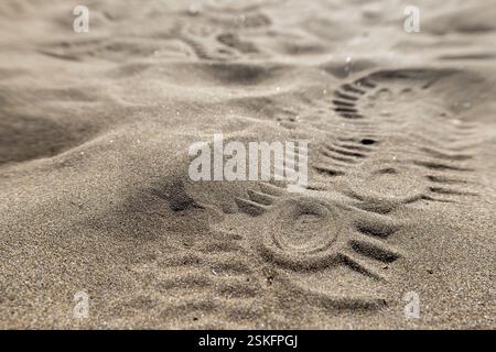 Shoe prints in the sand of the dunes of Maspalomas, Gran Canaria. Stock Photo