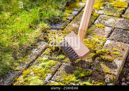 Removing and scratching moss out of paving stones, cleaning terrace and patio Stock Photo