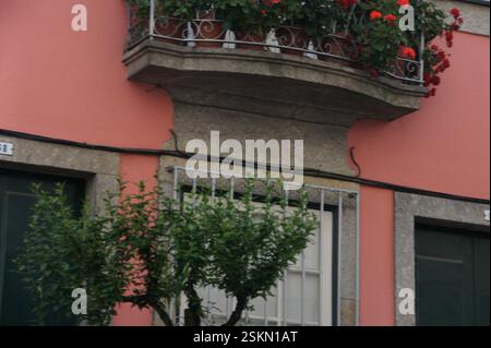 Vibrant pink building adorned with ornate balcony overflowing with red flowers. A charming window framed by wrought iron bars peeks through lush green Stock Photo