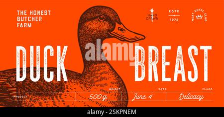 Duck, mallard sketch. Hand drawn Stock Vector