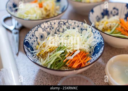 Bowl of food with noodles, carrots and vegetables in it. The bowl is blue and white. There are two bowls on the table. Stock Photo
