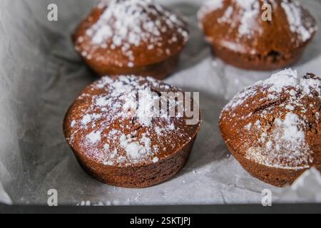 Chocolate muffins with powdered sugar arranged on baking paper, fresh and homemade. Stock Photo