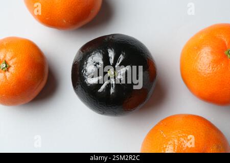 Stop racism. One black tangerine among orange ones on light background, flat lay Stock Photo