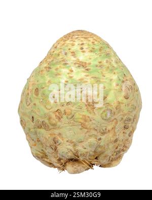 Closeup of an isolated celeriac Stock Photo