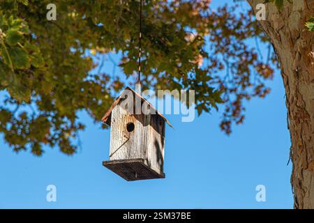 A wooden birdhouse hangs from a tall tree in spring, inviting birds to nest. Stock Photo