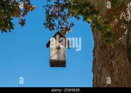A wooden birdhouse hangs from a tall tree in spring, inviting birds to nest. Stock Photo