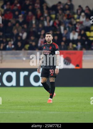 Nicolas Otamendi of SL Benfica during the UEFA Champions League match ...