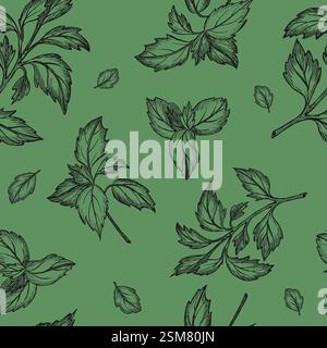Basil seamless pattern. Vector. Graphic illustration. Leaf vegetable healthy eating. Greenery. Hand drawn sketch on green background. For design Stock Vector