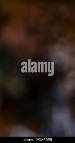 Abstract Blurred Background with Warm Earth Tones and Subtle Bokeh Effects Creating a Minimalist and Atmospheric Visual Stock Photo