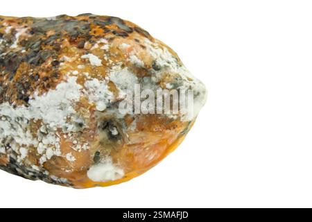 rotten papaya isolate on white background Stock Photo