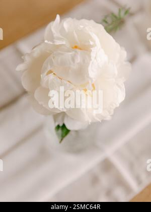 A white peony in a glass vase sits on a rustic table, surrounded by soft textiles in bright daylight. Stock Photo