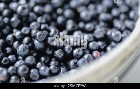 Fresh blueberries gathered in a bowl, close-up view Stock Photo