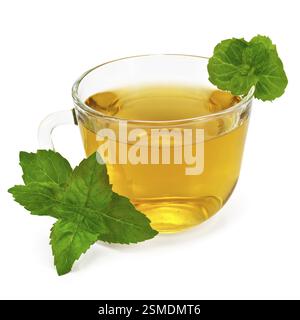 Herbal tea in a glass cup with two sprigs of mint isolated on white background Stock Photo