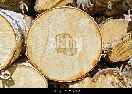 The stack of finished round birch logs from the end of a close-up Stock Photo