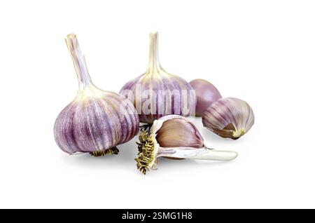 Two whole bulbs of garlic, three garlic clove isolated on white background Stock Photo