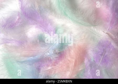 Multicolored light feathers on a white background in pastel colors. Wallpaper or template for your product Stock Photo