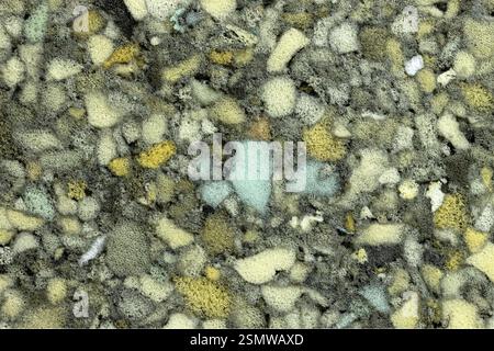 Close-Up of Acoustic Foam Panel Texture Stock Photo