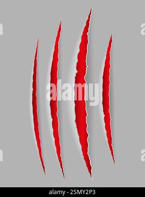 trace of scratches with claws until blood vector illustration isolated on background Stock Vector