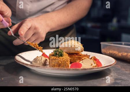 Professional chef carefully placing finishing touches on a gourmet dish in a commercial kitchen Stock Photo