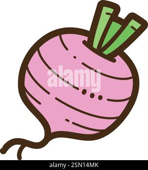 Turnip vector doodle illustration and graphic. Part of vegetables category. Stock Vector