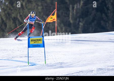 Saalbach, Austria. 13th Feb, 2025. SAALBACH, AUSTRIA - FEBRUARY 13: Valerie Grenier of Canada in action during the Audi Fis Alpine World Ski Championships - Women's Giant Slalom - run at Saalbach on February13, 2025 at Saalbach, Austria, Salzburg.250213 SEPA 12 083 - 20250213 PD6716 Credit: APA-PictureDesk/Alamy Live News Stock Photo