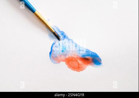 Paintbrush blending red and blue watercolor on white paper Stock Photo