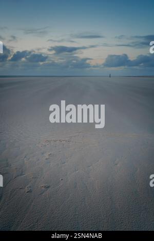 Sand Rushing Drifting sand in storm wind blowing over the beach Stock Photo - Alamy